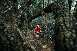 BIB: 
                            <button type="button" onclick="openModal(25392390)" class="btn btn-primary btn-sm float-right btn-popup" data-toggle="modal" data-target=".modal-high-quality">
                        <i class="fas fa-shopping-cart"></i> Add to Cart
                    </button>
                                            <button type="button" onclick="isThisMe(25392390, true)" class="btn btn-success btn-sm float-right btn-popup btn-isme hidden" data-toggle="tooltip" data-placement="bottom" title="นี่คือรูปของคุณใช่ไหม คลิกที่นี่เพื่อเอาเข้าอัลบั้ม">
                        <i class="fas fa-plus"></i> Add to album
                    </button>
                    <button type="button" onclick="isThisMe(25392390, false)" class="btn btn-warning btn-sm float-right btn-popup btn-isnotme hidden">
                        <i class="fas fa-ban"></i> Remove from album
                    </button>